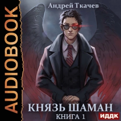 Князь шаман. Книга 1 - Андрей Ткачев - Библиотека аудиокниг