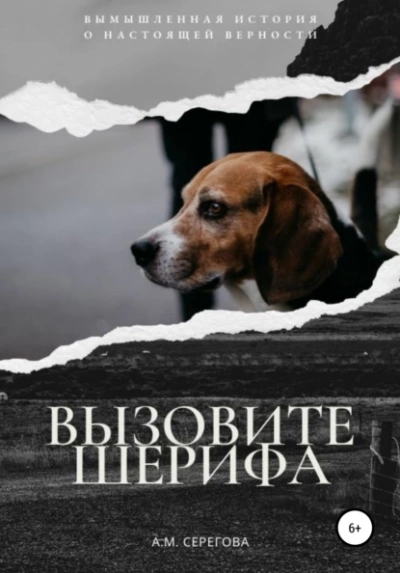 Вызовите шерифа - Эллисон Майклс - Библиотека аудиокниг