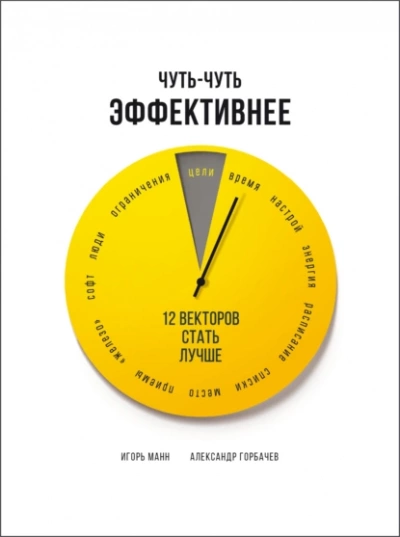 Чуть-чуть эффективнее. 12 векторов стать лучше - Игорь Манн - Библиотека аудиокниг