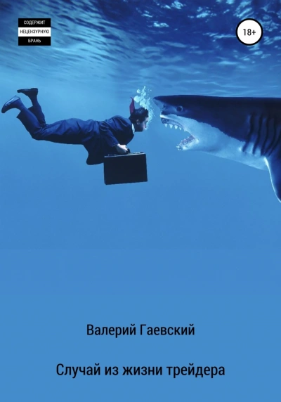 Случай из жизни трейдера - Валерий Гаевский - Библиотека аудиокниг
