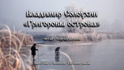 Григоровы острова (Заметки о зимнем ужении рыбы) - Владимир Солоухин - Библиотека аудиокниг