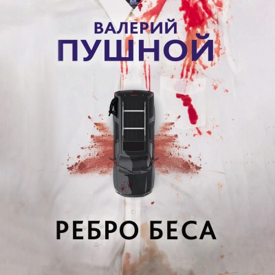 Ребро беса - Валерий Пушной - Библиотека аудиокниг