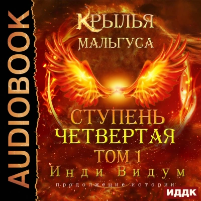 Ступень Четвертая. Том 1 - Видум Инди - Библиотека аудиокниг