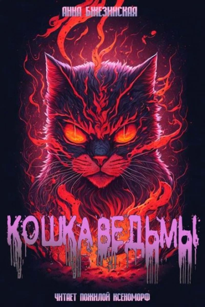 Кошка Ведьмы - Анна Бжезинская - Библиотека аудиокниг