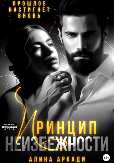 Принцип неизбежности - Алина Аркади - Библиотека аудиокниг