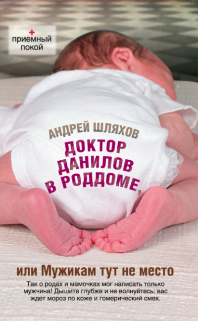 Доктор Данилов в роддоме, или Мужикам тут не место - Андрей Шляхов - Библиотека аудиокниг