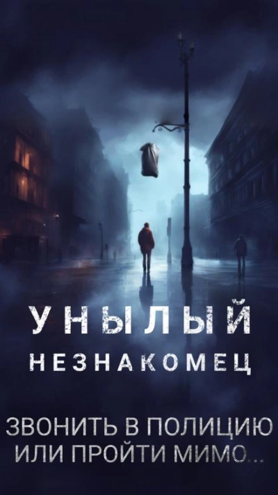 Унылый незнакомец - Филип Дик - Библиотека аудиокниг