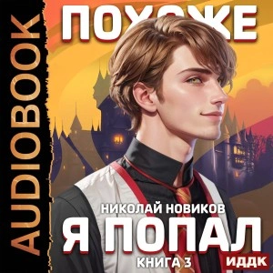 Похоже, я попал. Книга 3 - Николай Новиков - Библиотека аудиокниг