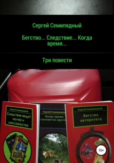 Бегство… Следствие… Когда время… - Сергей Семипядный - Библиотека аудиокниг