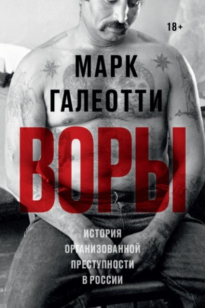 Воры. История организованной преступности в России - Марк Галеотти - Библиотека аудиокниг