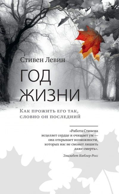 Год для жизни. Как прожить этот год, как последний - Стивен Левин - Библиотека аудиокниг