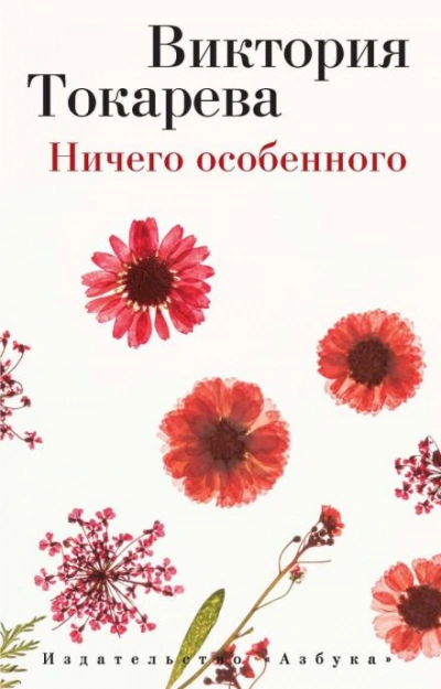 Ничего особенного - Виктория Токарева - Библиотека аудиокниг