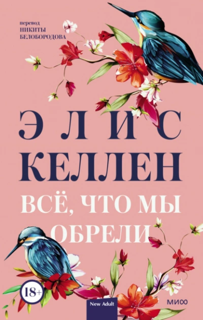 Всё, что мы обрели - Элис Келлен - Библиотека аудиокниг