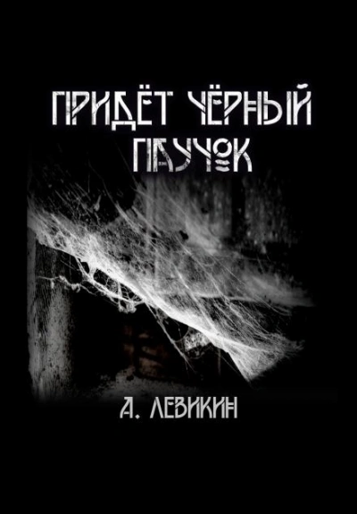 Придёт чёрный паучок - Алексей Левикин - Библиотека аудиокниг