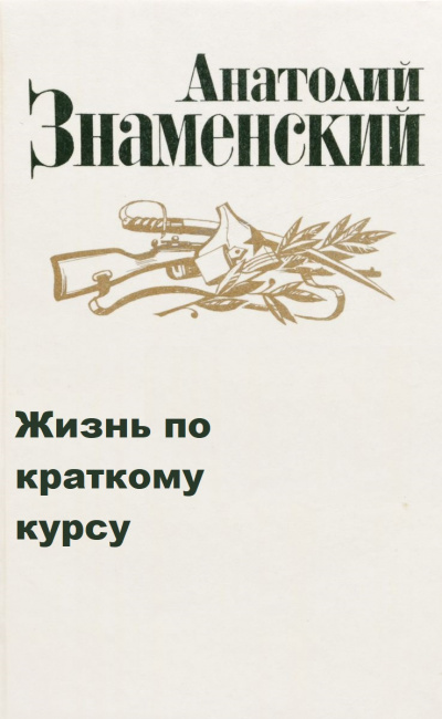 Жизнь по краткому курсу. Тетрадь 1 - Анатолий Знаменский - Библиотека аудиокниг