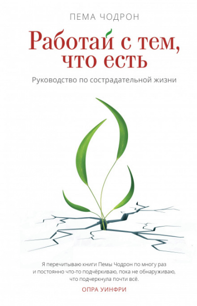 Работай с тем, что есть. Руководство по сострадательной жизни - Пема Чодрон - Библиотека аудиокниг