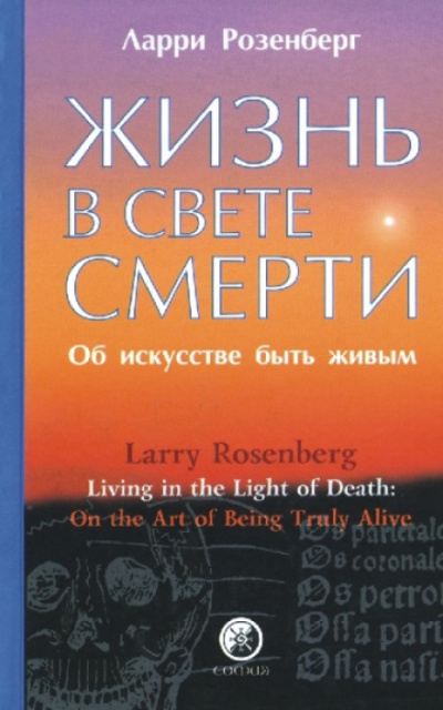Жизнь в свете смерти - Ларри Розенберг - Библиотека аудиокниг