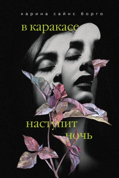 В Каракасе наступит ночь - Карина Борго - Библиотека аудиокниг