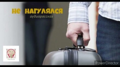 Не нагулялся - Библиотека аудиокниг