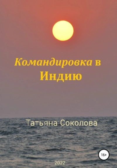 Командировка в Индию - Татьяна Соколова - Библиотека аудиокниг