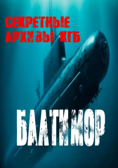 Балтимор - Георгий Немов - Библиотека аудиокниг