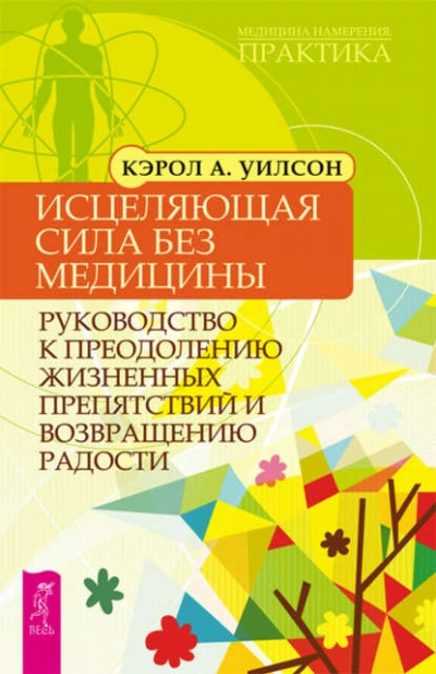 Исцеляющая сила без медицины. Руководство к преодолению жизненных препятствий и возвращению радости - Кэрол Уилсон - Библиотека аудиокниг