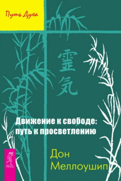 Движение к свободе: путь к просветлению - Дон Меллоушип - Библиотека аудиокниг
