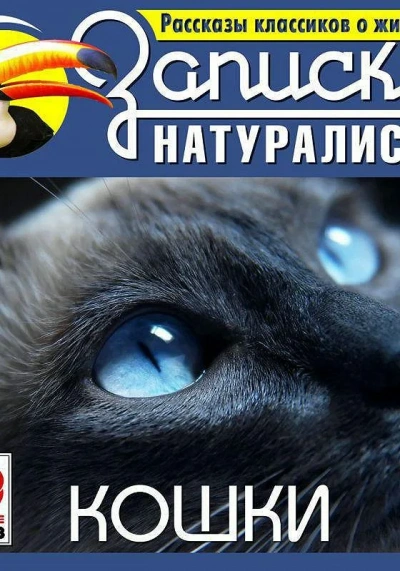 Рассказы классиков о животных. Кошки - Библиотека аудиокниг