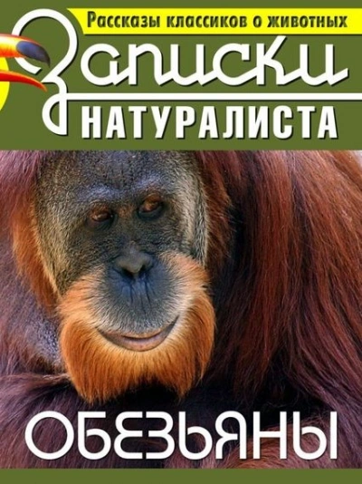 Рассказы классиков о животных. Обезьяны - Библиотека аудиокниг