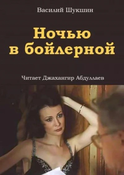 Ночью в бойлерной - Василий Шукшин - Библиотека аудиокниг