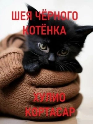 Шея чёрного котёнка - Хулио Кортасар - Библиотека аудиокниг