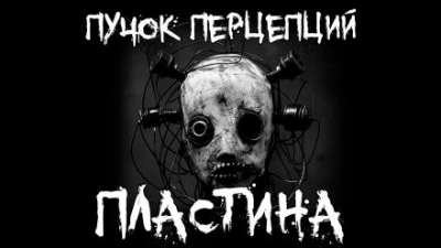Пластина - Пучок Перцепций - Библиотека аудиокниг