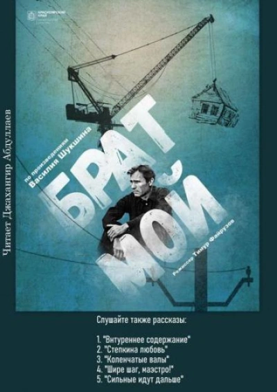 Брат мой... - Василий Шукшин - Библиотека аудиокниг