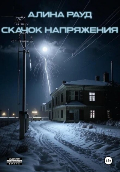 Скачок напряжения - Алина Рауд - Библиотека аудиокниг