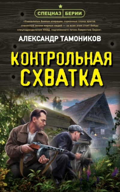 Контрольная схватка - Александр Тамоников - Библиотека аудиокниг