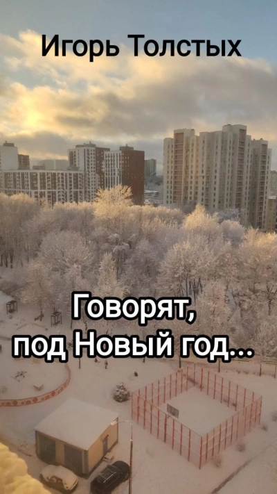 Говорят, под Новый год - Игорь Толстых - Библиотека аудиокниг